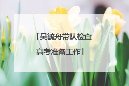 吴毓舟带队检查高考准备工作