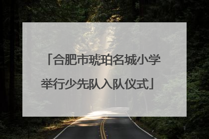 合肥市琥珀名城小学举行少先队入队仪式