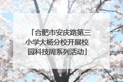 合肥市安庆路第三小学大杨分校开展校园科技周系列活动