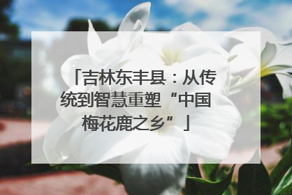 吉林东丰县：从传统到智慧重塑“中国梅花鹿之乡”