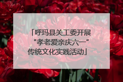呼玛县关工委开展“孝老爱亲庆六一”传统文化实践活动