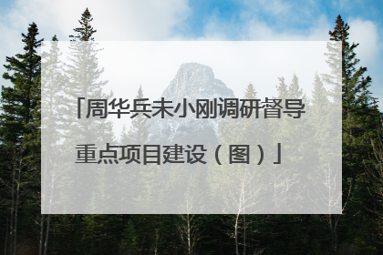 周华兵未小刚调研督导重点项目建设（图）