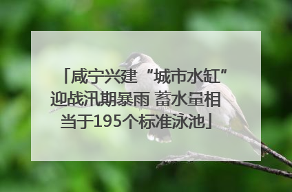 咸宁兴建“城市水缸”迎战汛期暴雨 蓄水量相当于195个标准泳池