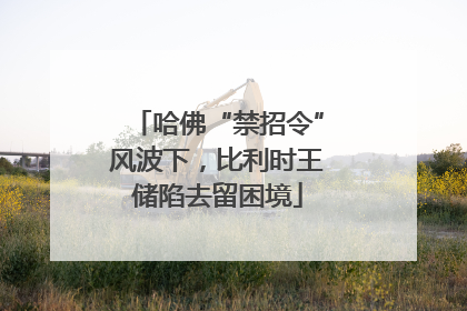 哈佛“禁招令”风波下，比利时王储陷去留困境