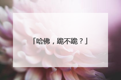 哈佛，跪不跪？