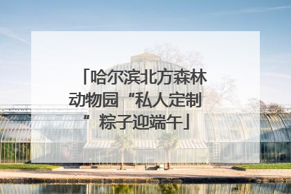 哈尔滨北方森林动物园“私人定制”粽子迎端午
