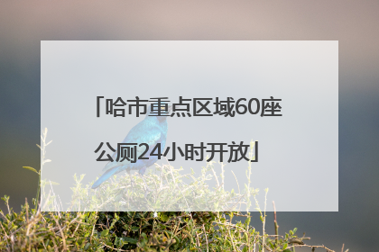 哈市重点区域60座公厕24小时开放