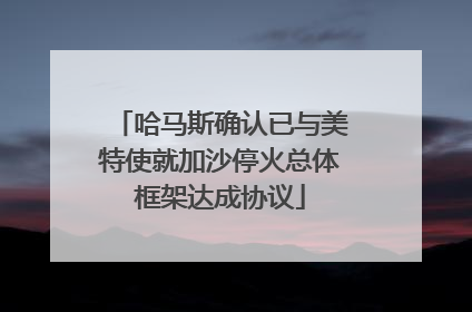 哈马斯确认已与美特使就加沙停火总体框架达成协议