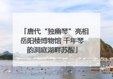 唐代“独幽琴”亮相岳阳楼博物馆 千年琴韵洞庭湖畔苏醒