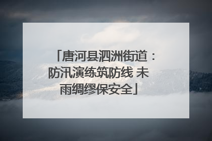 唐河县泗洲街道：防汛演练筑防线 未雨绸缪保安全