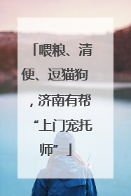 喂粮、清便、逗猫狗，济南有帮“上门宠托师”