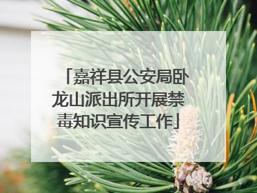 嘉祥县公安局卧龙山派出所开展禁毒知识宣传工作