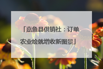 嘉鱼县供销社：订单农业绘就增收新图景