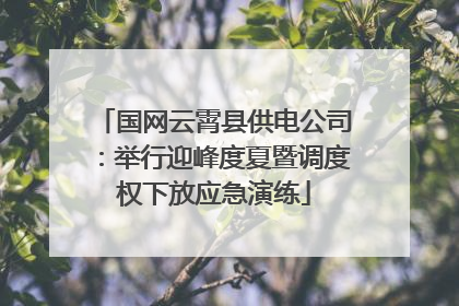 国网云霄县供电公司：举行迎峰度夏暨调度权下放应急演练