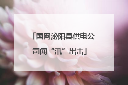 国网泌阳县供电公司闻“汛”出击