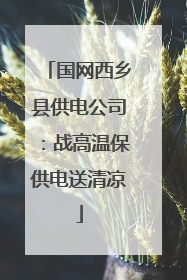 国网西乡县供电公司：战高温保供电送清凉
