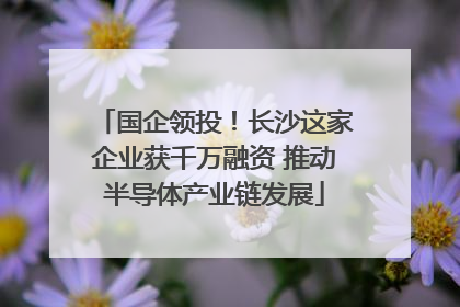 国企领投！长沙这家企业获千万融资 推动半导体产业链发展