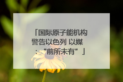 国际原子能机构警告以色列 以媒：“前所未有”