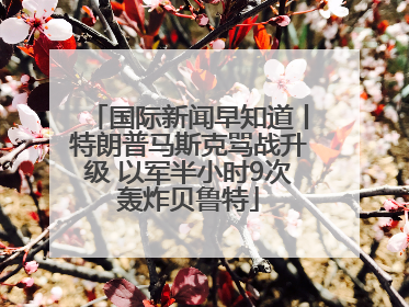 国际新闻早知道丨特朗普马斯克骂战升级 以军半小时9次轰炸贝鲁特