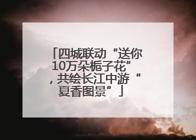 四城联动“送你10万朵栀子花”，共绘长江中游“夏香图景”