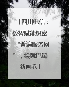 四川电信：数智赋能织密“普遍服务网”，绘就巴蜀新画卷