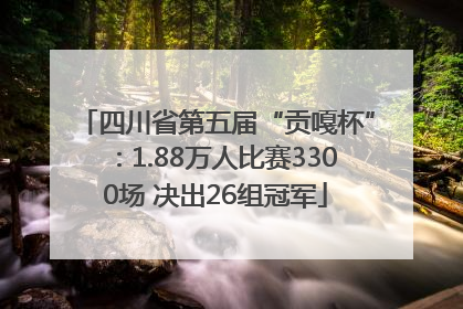 四川省第五届“贡嘎杯”：1.88万人比赛3300场 决出26组冠军