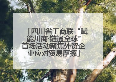 四川省工商联“赋能川商·链通全球”首场活动聚焦外贸企业应对贸易摩擦