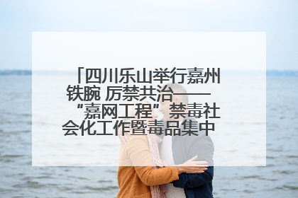 四川乐山举行嘉州铁腕 厉禁共治——“嘉网工程”禁毒社会化工作暨毒品集中销毁启动仪式