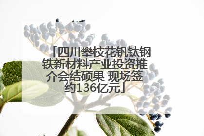 四川攀枝花钒钛钢铁新材料产业投资推介会结硕果 现场签约136亿元