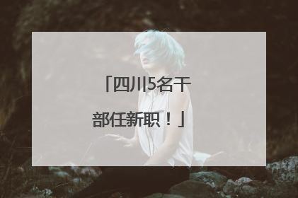 四川5名干部任新职！