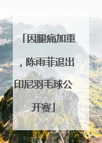 因腿痛加重，陈雨菲退出印尼羽毛球公开赛