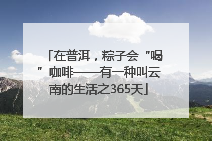 在普洱，粽子会“喝”咖啡——有一种叫云南的生活之365天