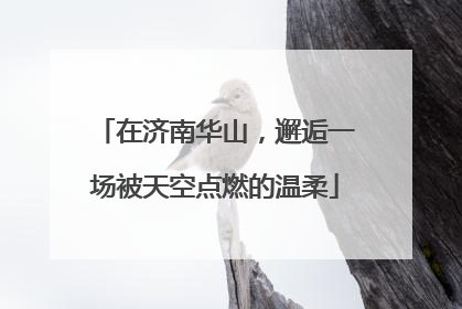 在济南华山，邂逅一场被天空点燃的温柔
