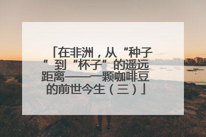 在非洲，从“种子”到“杯子”的遥远距离——一颗咖啡豆的前世今生（三）