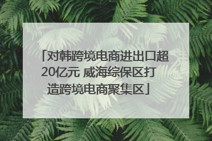 对韩跨境电商进出口超20亿元 威海综保区打造跨境电商聚集区