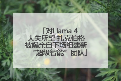 对Llama 4大失所望 扎克伯格被曝亲自下场组建新“超级智能”团队