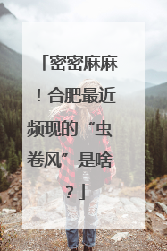 密密麻麻！合肥最近频现的“虫卷风”是啥？