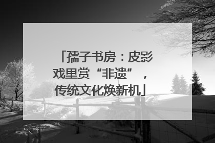 孺子书房：皮影戏里赏“非遗”，传统文化焕新机