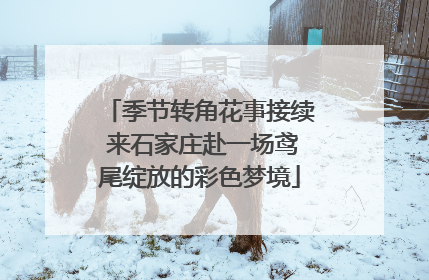 季节转角花事接续 来石家庄赴一场鸢尾绽放的彩色梦境