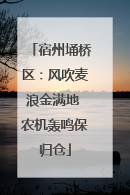 宿州埇桥区：风吹麦浪金满地 农机轰鸣保归仓