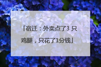 宿迁：外卖点了3 只鸡腿，只花了1分钱