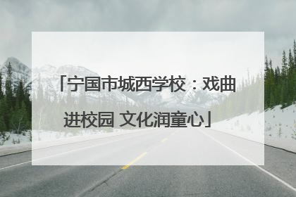 宁国市城西学校：戏曲进校园 文化润童心