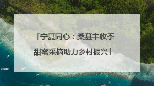 宁夏同心：桑葚丰收季 甜蜜采摘助力乡村振兴