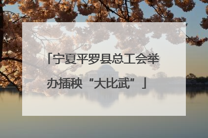 宁夏平罗县总工会举办插秧“大比武”