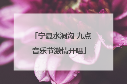 宁夏水洞沟 九点音乐节激情开唱