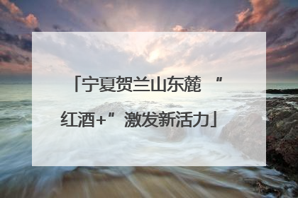 宁夏贺兰山东麓 “红酒+”激发新活力