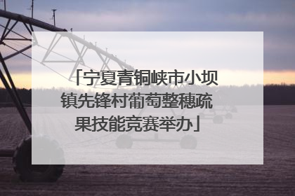宁夏青铜峡市小坝镇先锋村葡萄整穗疏果技能竞赛举办