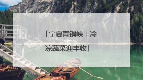 宁夏青铜峡：冷凉蔬菜迎丰收