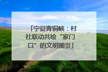 宁夏青铜峡：村社联动共绘“家门口”的文明图景
