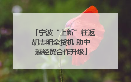 宁波“上新”往返胡志明全货机 助中越经贸合作升级